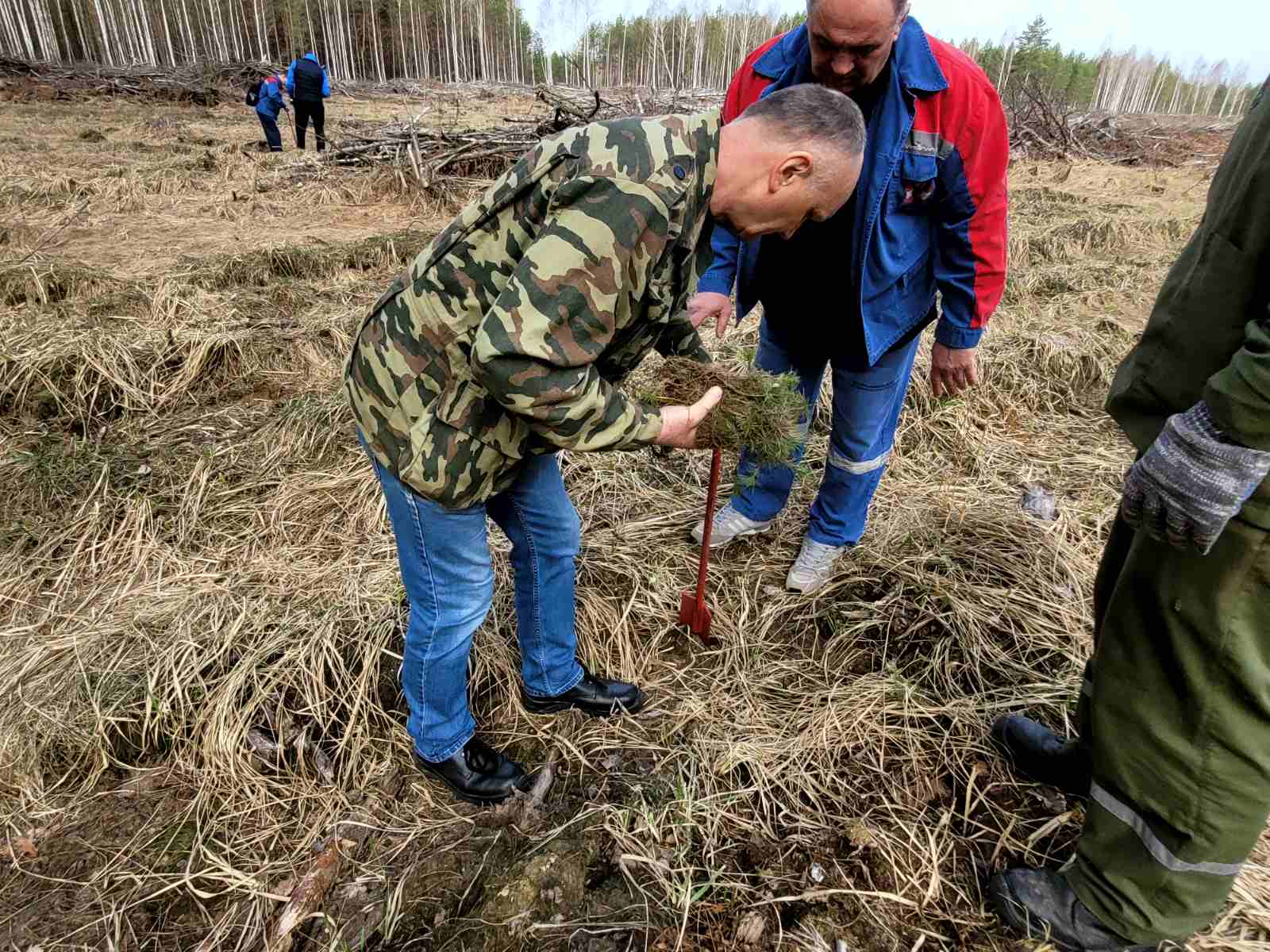 изображение viber 2024 04 02 16 13 53 619